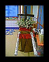 ss_la_paloma-(11).jpg