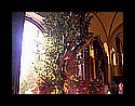 100_5485.jpg