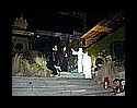 13906911_9985466.jpg