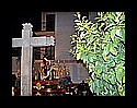 100_9668.jpg